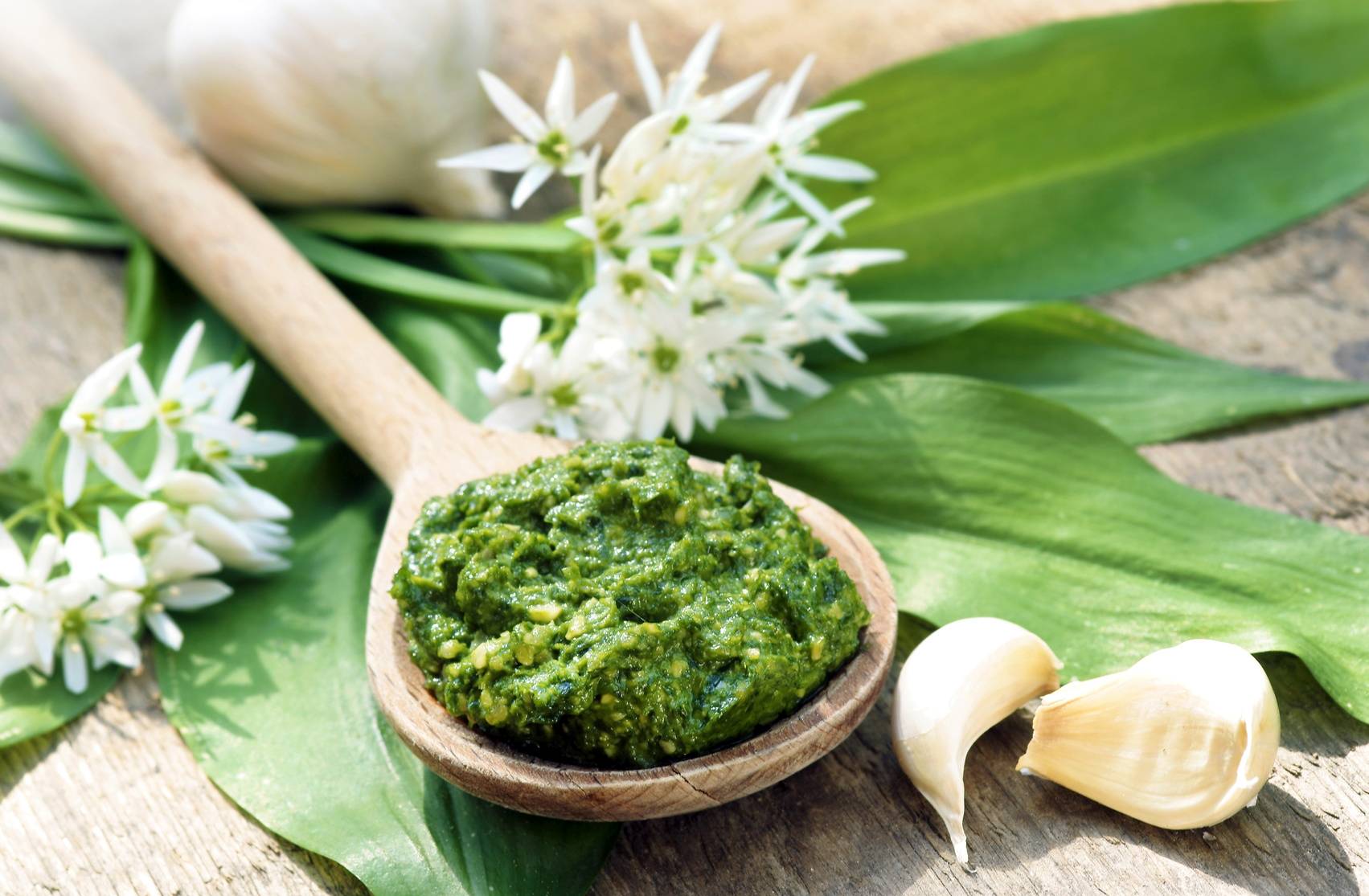 Przepis na pesto z czosnkiem niedźwiedzim. Zielone pesto na drewnianej łyżce leżącej na liściach i kwiatach czosnku niedźwiedziego, obok leżą dwa ząbki czosnku pospolitego.