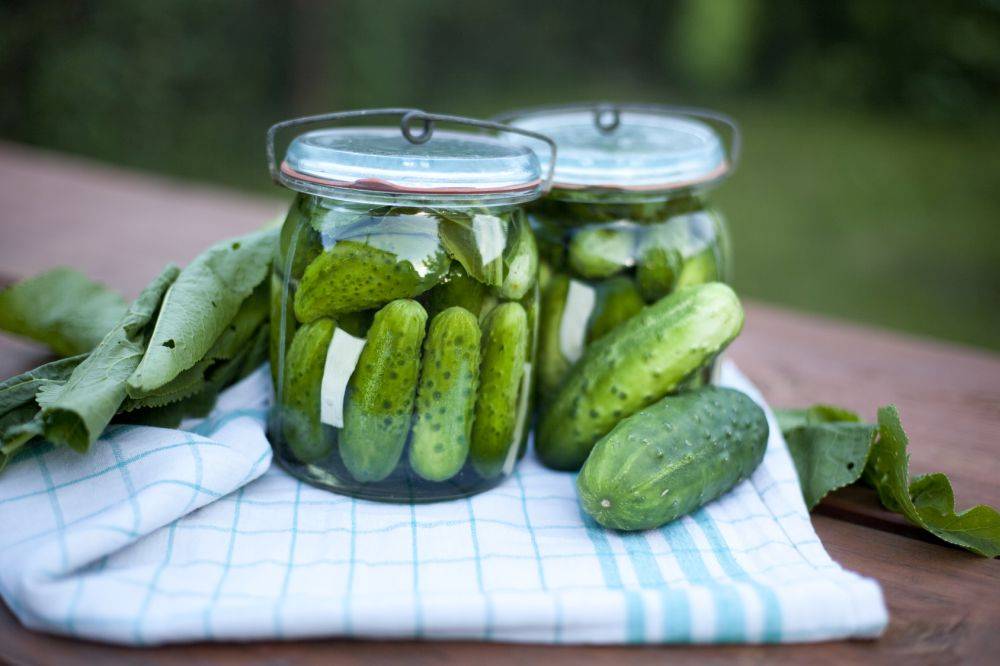 dieta warzywa sezonowe ogorki