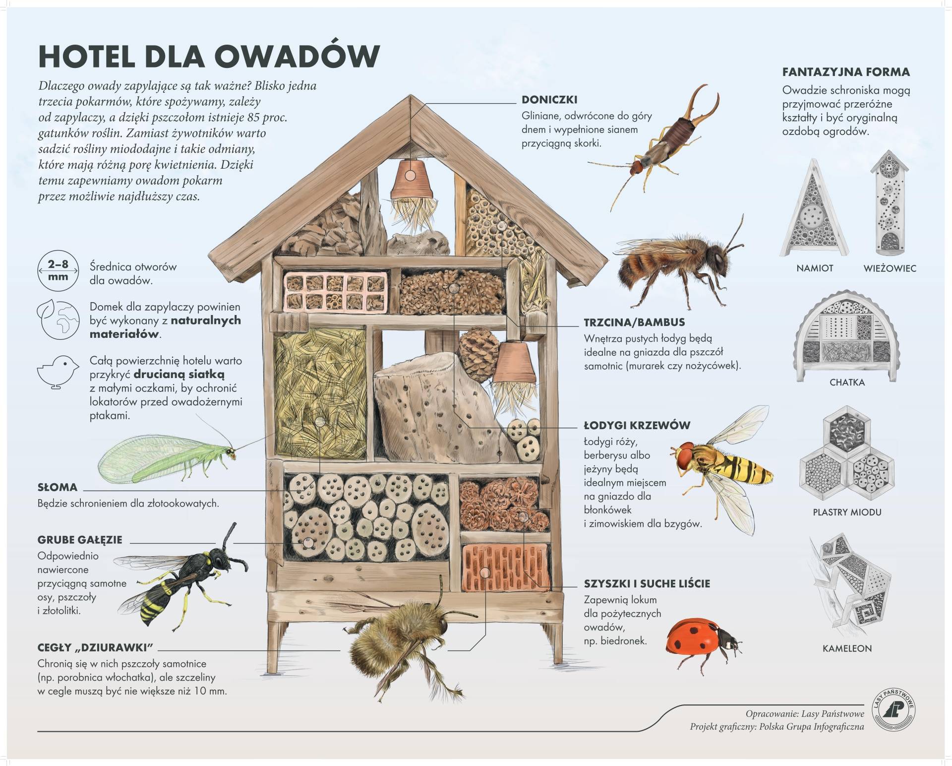 Domek dla owadów - jak zbudować hotel dla pszczół? Infografika