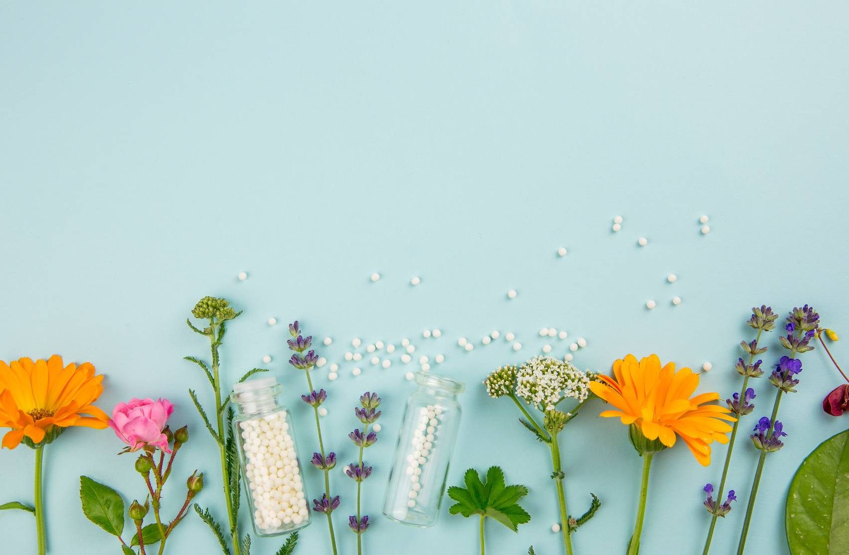 Calcarea carbonica. Leki homeopatyczne, kwiaty i zioła leżą u dołu kadru na niebieskim tle.