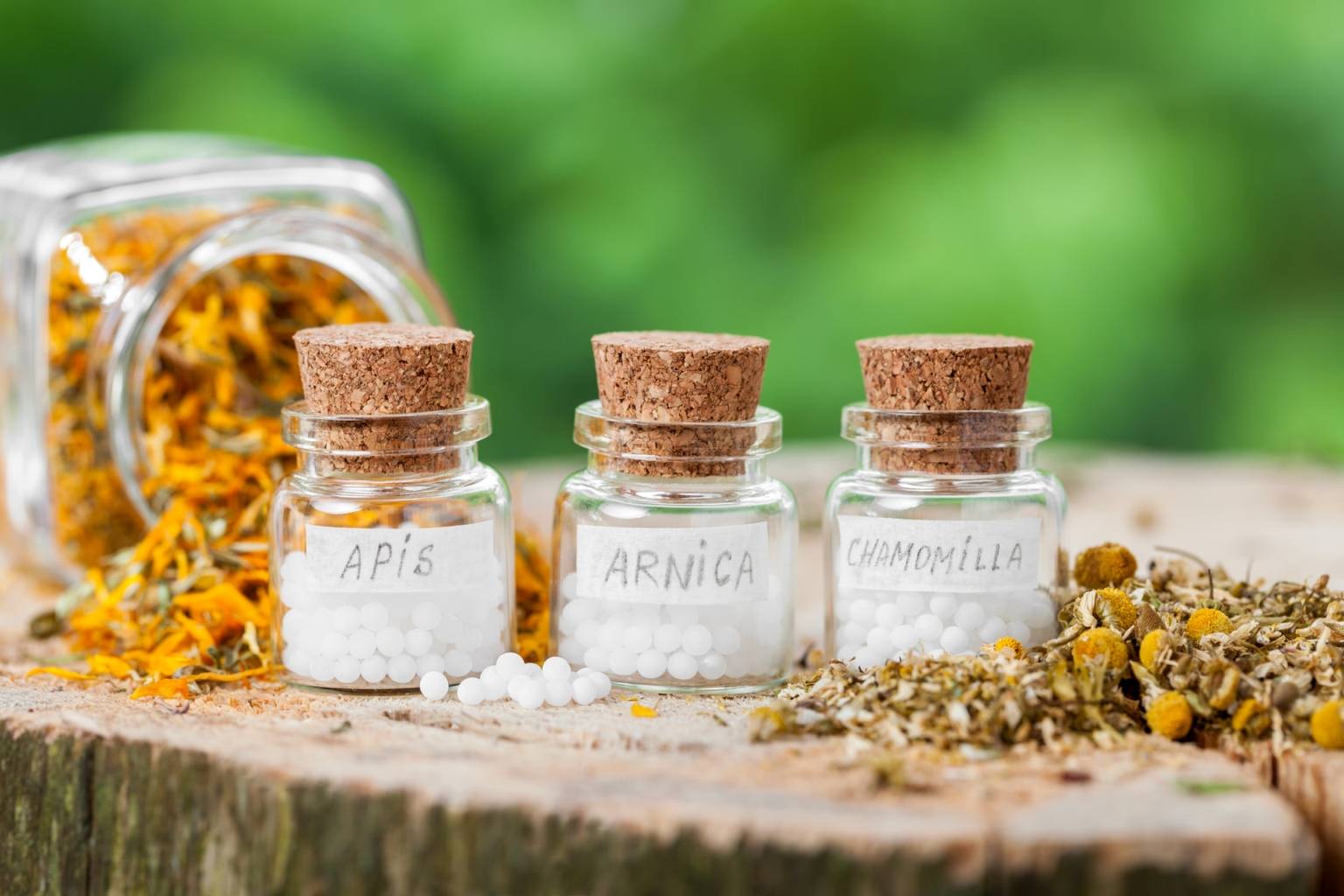Arnica montana, apis i chamomilla - leki homeopatyczne w fiolkach. Jak leczyć stłuczenia, urazy i bóle.