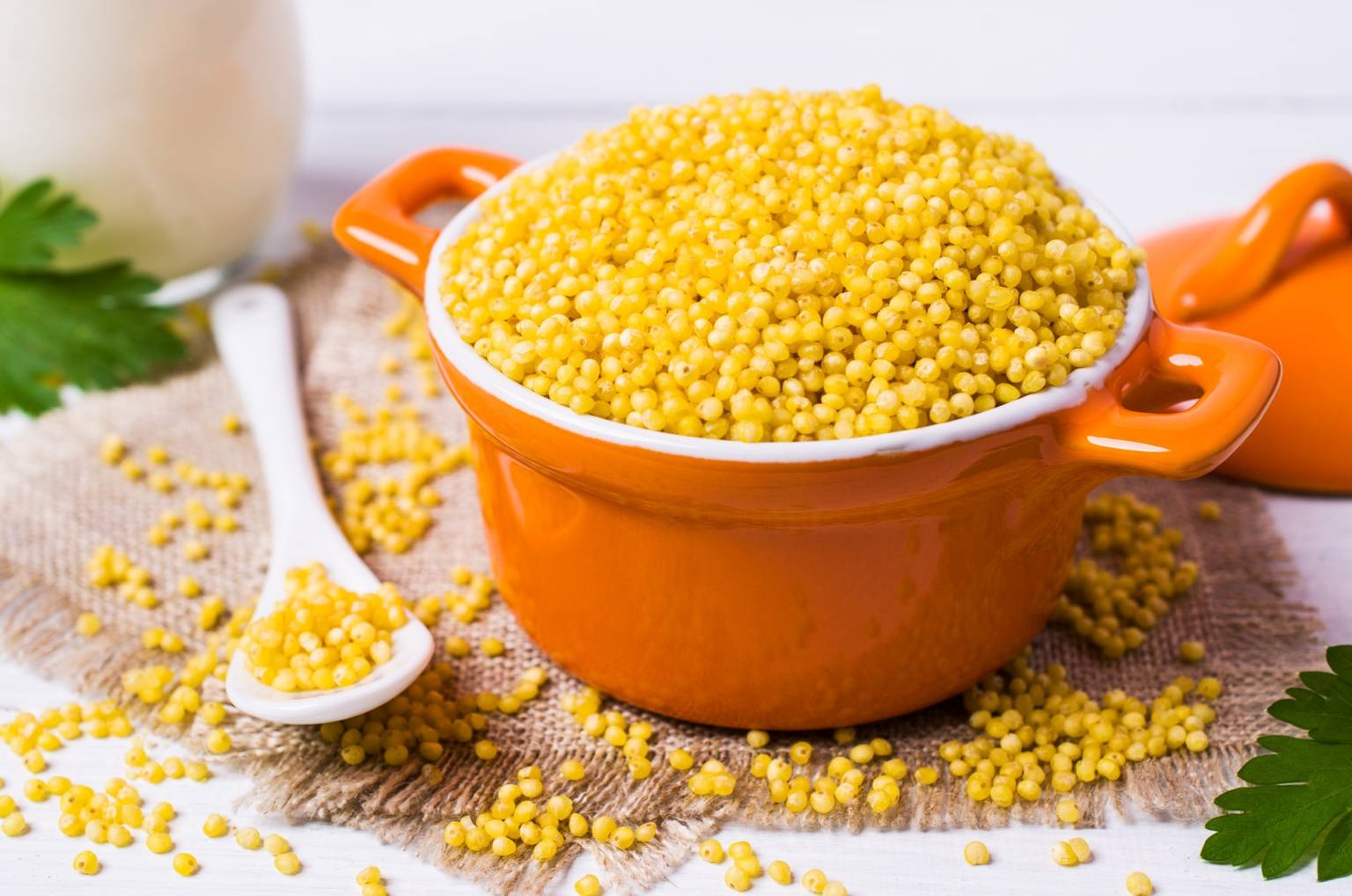 Czy gluten jest szkodliwy? Kasza jaglana w pomarańczowej miseczce.