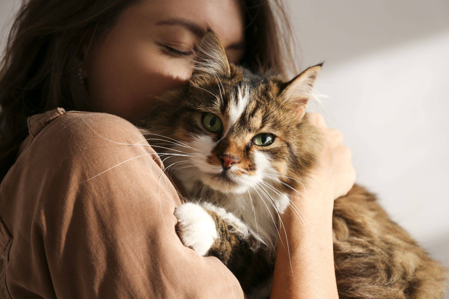 Przytualnie kota niweluje stres - na czym polega felinoterapia? Kobieta przytula puchatego kota.