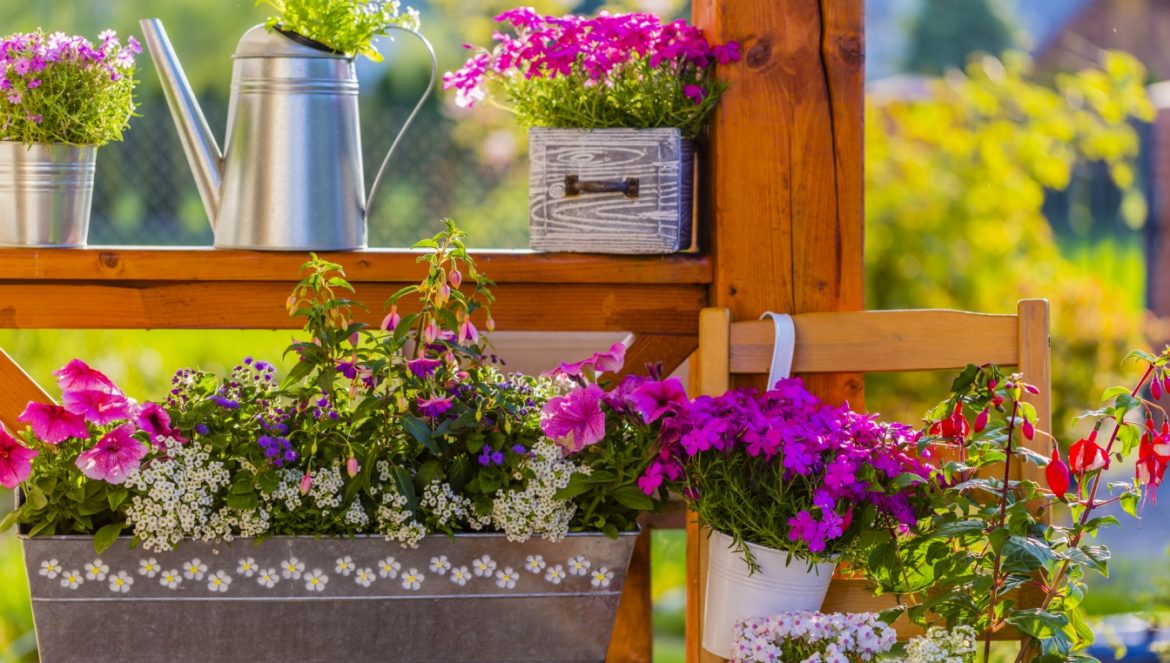 Balkon na wiosnę - jakimi kwiatami wiosennymi go udekorować? Niezapominajki, prymulki, stokrotki, bratki, kwiaty cebulowe.