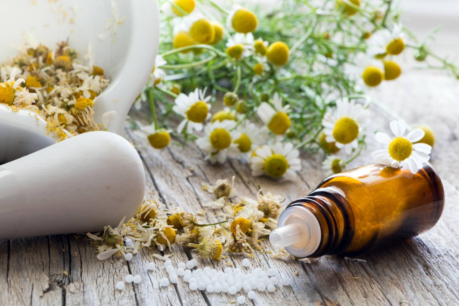 Sposoby na kaszel przy przeziębieniu. Jakie leki homeopatyczne są pomocne przy kaszlu suchym i kaszlu mokrym? Fiolka z granulkami homeopatycznymi leży na drewnianym stole obok moździerza z ususzonymi kwiatami rumianku, w tle leży świeży rumianek zerwany z pola.