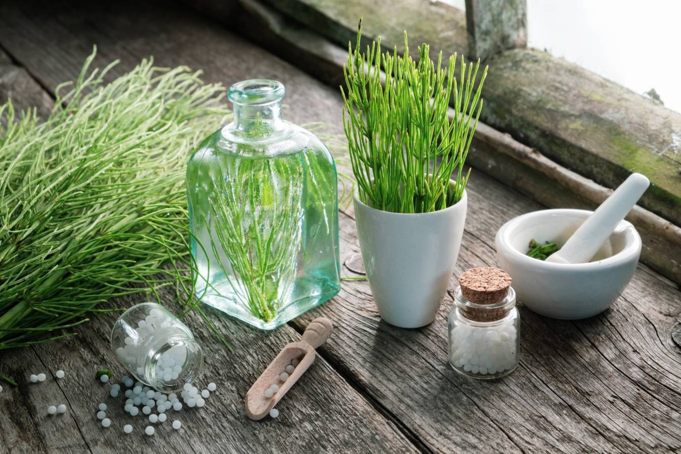 Skrzyp w lekach homeopatycznych - na co go stosować? Ziele skrzypu w białym kubku, moździerzu i na blacie oraz leki homeopatyczne.
