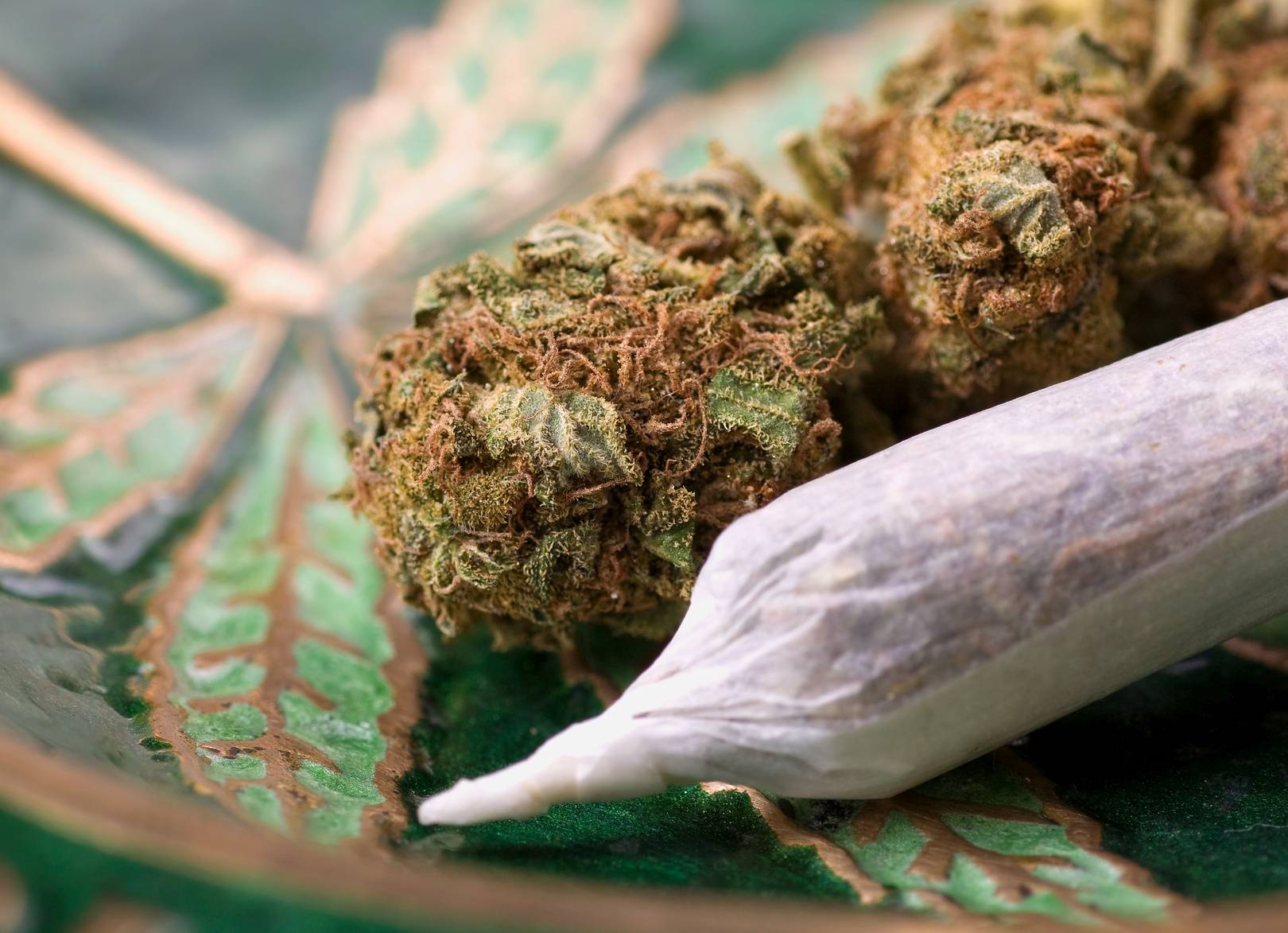 Medyczna marihuana - jak ją stosować? Skręt z suszem z marihuaną.