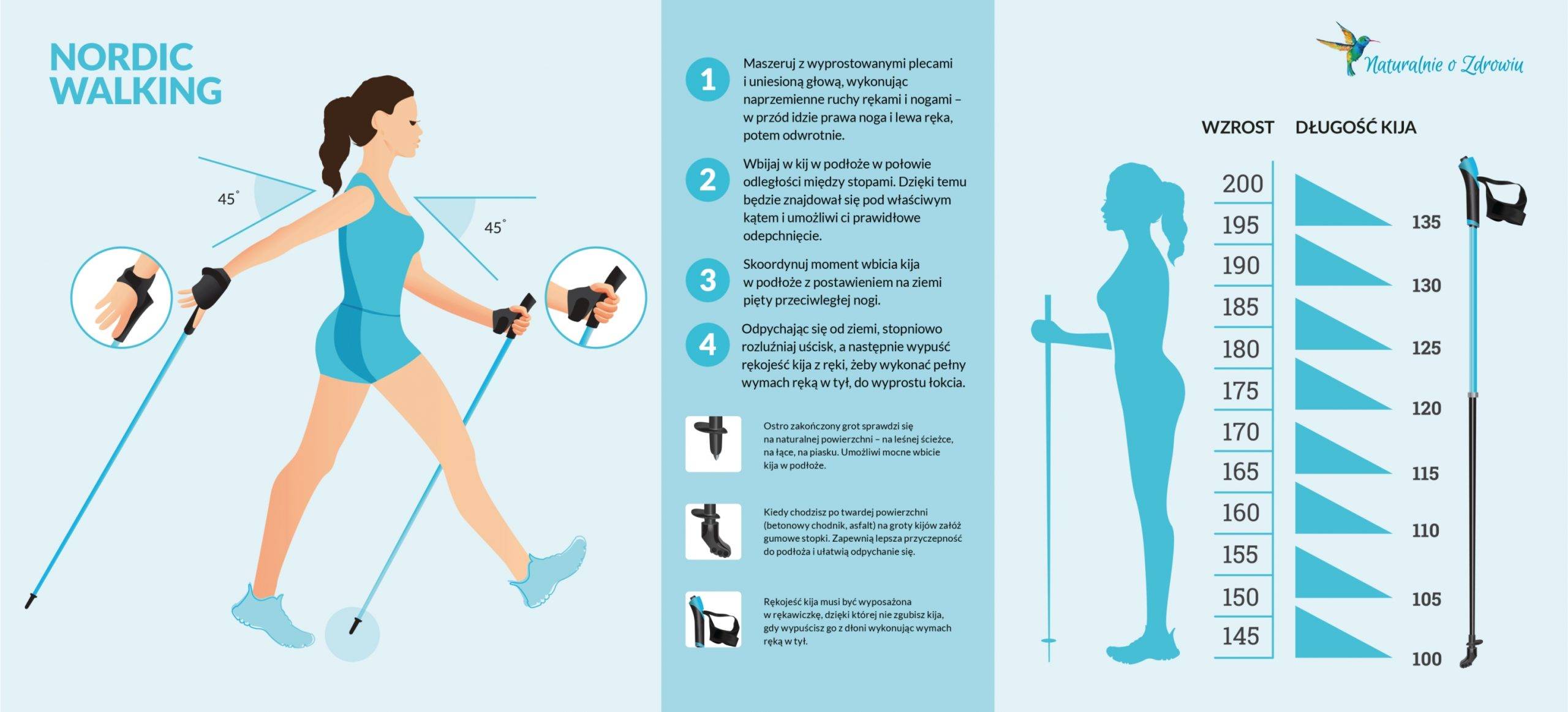 Nordic walking dla początkujących - jak poprawnie ćwiczyć? Infografika
