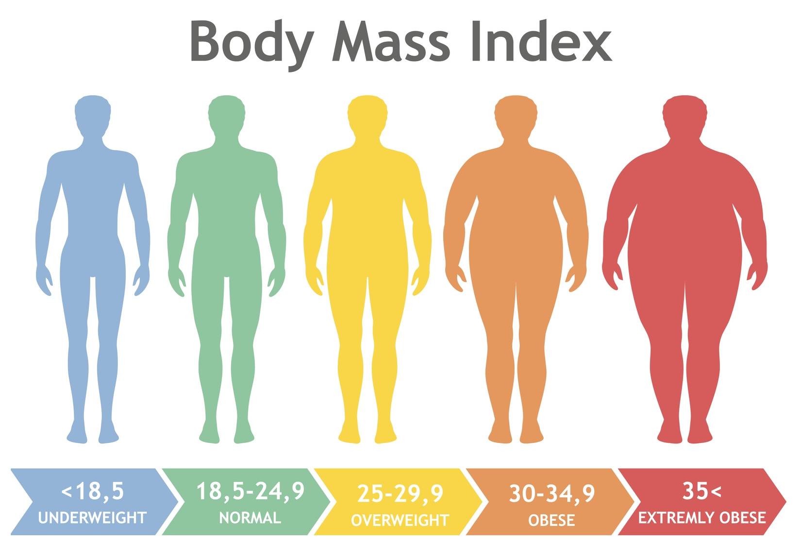 Jakie jest prawidłowe BMI? Kiedy zaczyna się otyłość? Infografika przedstawiająca skalę BMI (Body Mass Index)