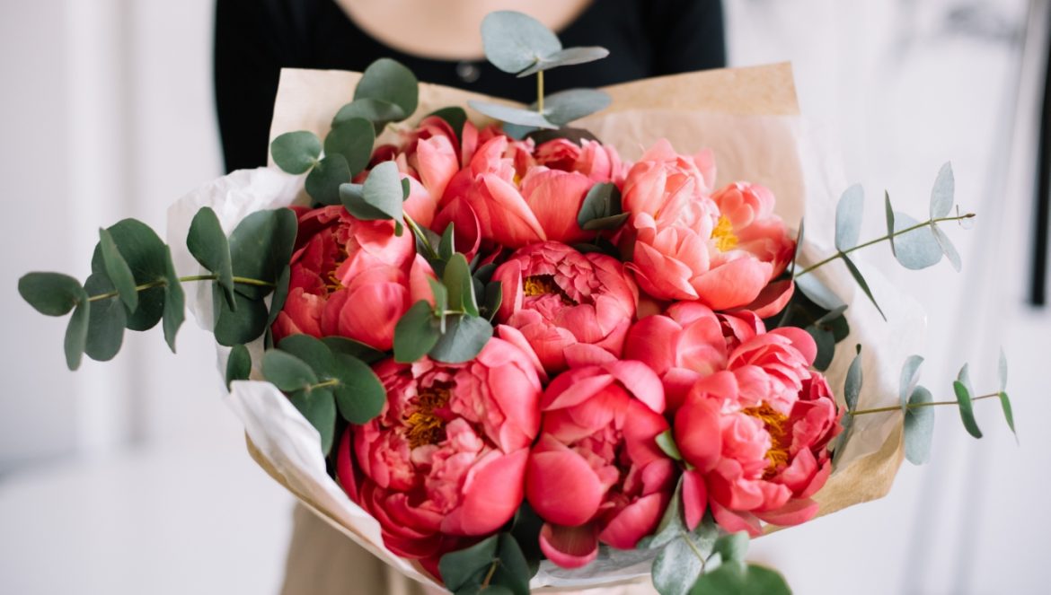 Peonie (piwonie) - jak je pielęgnować i gdzie posadzić? Kobieta w czarnej bluzce i jasnej spódnicy trzyma ogromny piękny bukiet ciemnoróżowych peoni.