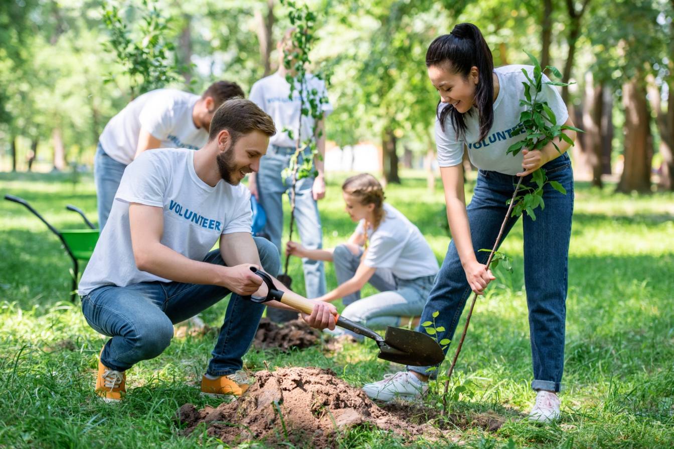 Fundacja Las na Zawsze sadzi drzewa w całej Polsce i tworzy lasy służące naturze, a nie gospodarce. Grupa przyjaciół sadzi drzewa w parku.