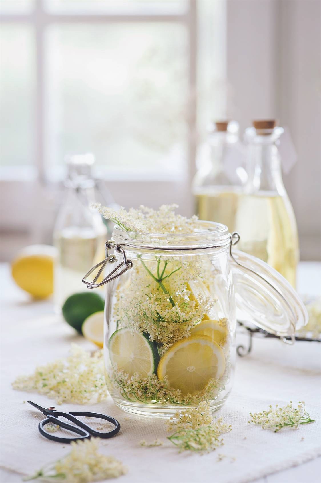 Syrop z kwiatów czarnego bzu. W słoiku leżą kwiaty czarnego bzu, plasterki cytryny i limonki, w tle widać butelki z gotowym syropem. Na białym stole leżą cytrusy, kwiaty bzu i nożyczki.