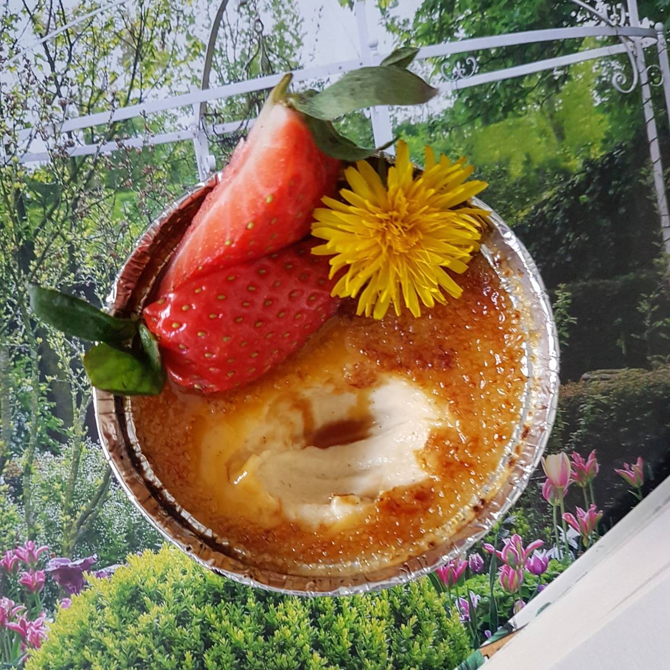 Syrop z mniszka na creme brulee - przepisy Agnieszki Żelazko na jadalne chwasty.