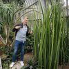 Wojciech Wardecki - bloger, ogrodnik, projektant ogrodów i tarasó.