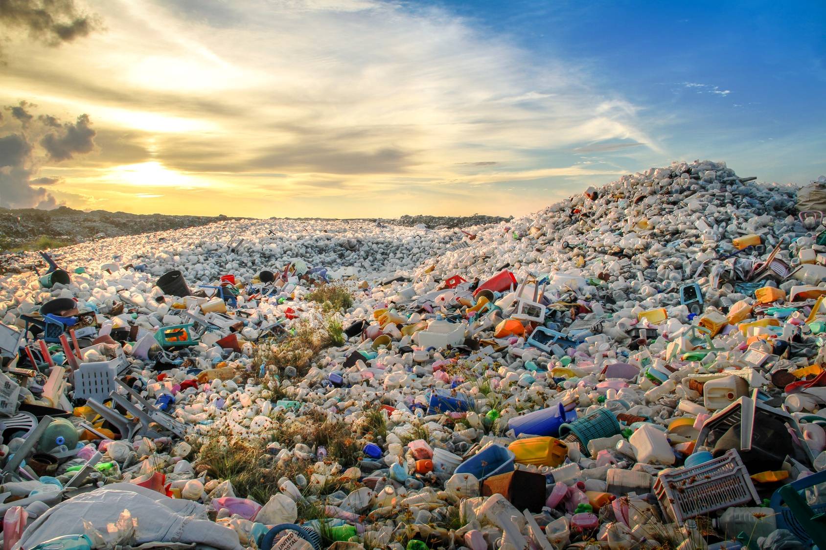 Zanieczyszczenie planety plastikiem - stop z plastikiem. Czym zastąpić plastik?